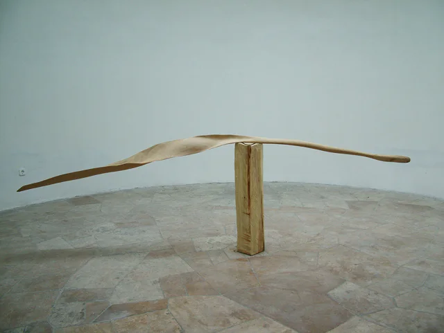 Levél, 2007