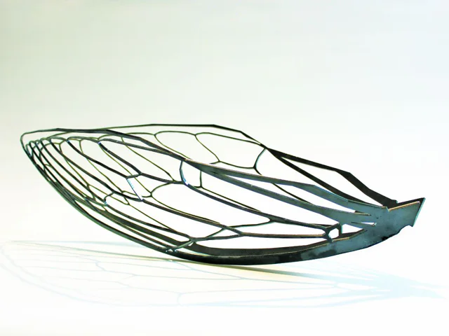 Cradle, 2019
